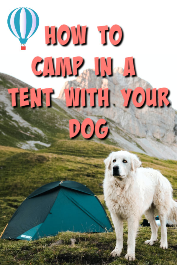 tent camping with a dog
